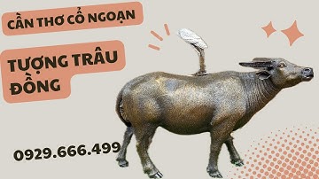 TƯỢNG TRÂU ĐỒNG | CLIP NGÀY 29/11/2023 | CẦN THƠ CỔ NGOẠN #đồcổ #canthocongoan #doxua