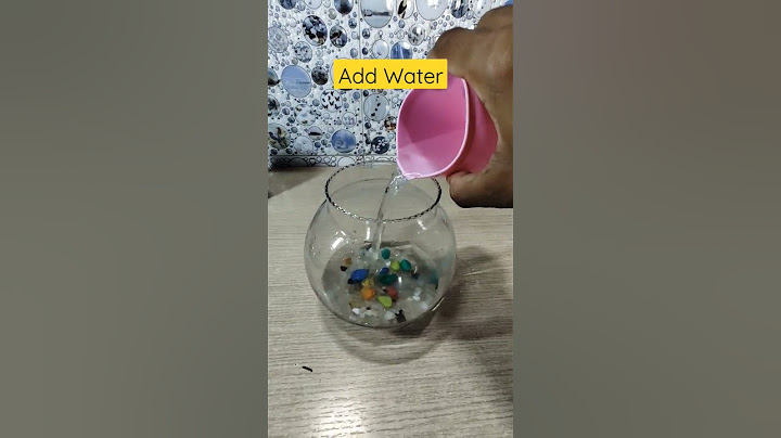Guppy Fish Bowl setup in 15 second #guppy #guppyfish #shorts #aquarium #fishaquarium #fish #bowl