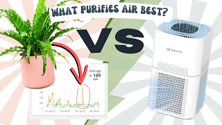 Can Plants Clean Your Air Better Than an Air Purifier? - At Home Experiment w/ Plants vs Purifier