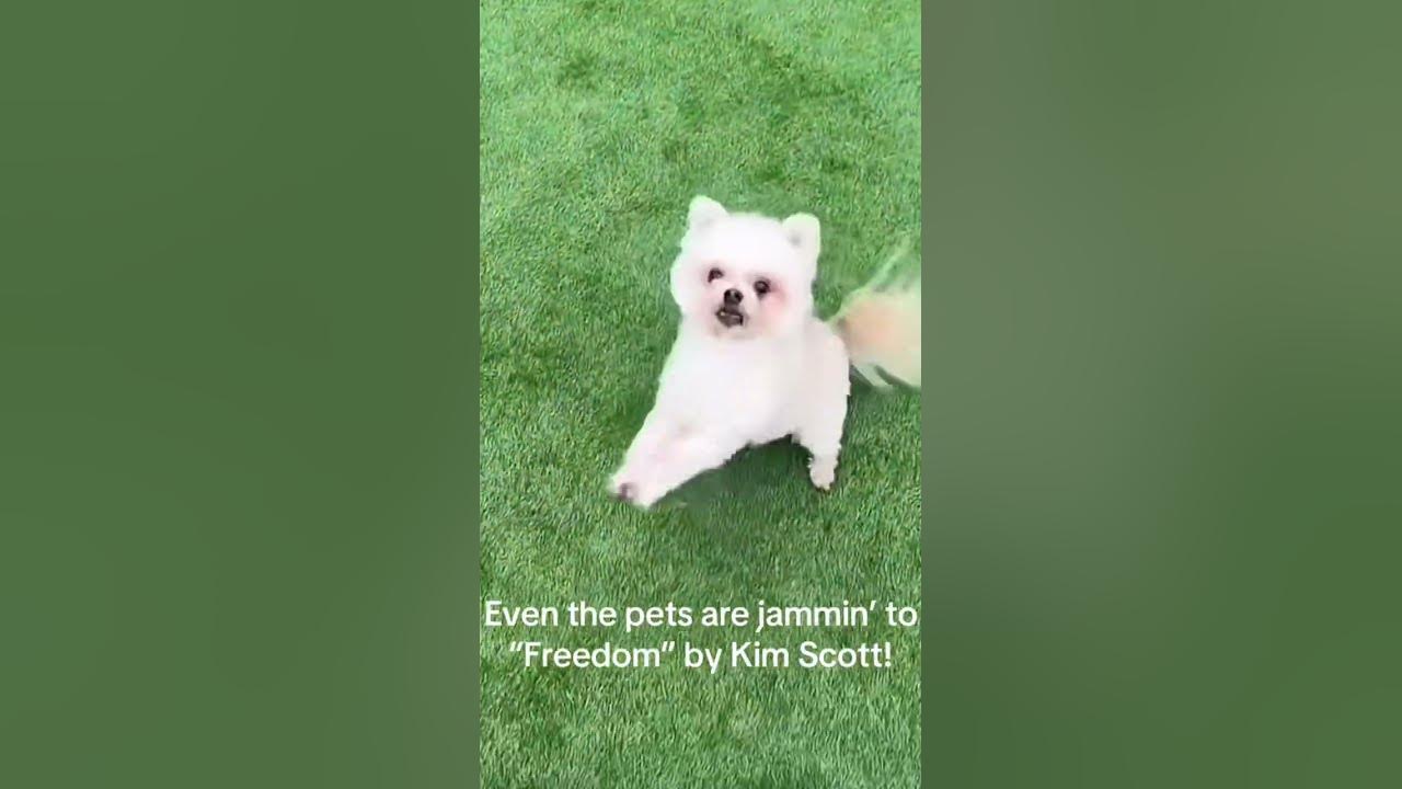 Even the pets are jamming to “Freedom” by Kim Scott! Download and stream today!