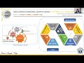 RISE_1_3_5 — Next 90 Days | DAY 3 — System Building Framework