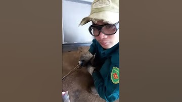 Hướng dẫn hàn dao tiện hợp kim