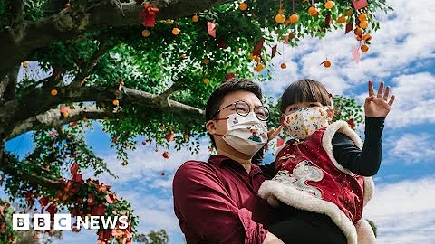 Chinese families reunite for Lunar New Year - BBC News - DayDayNews