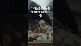 가재는뚠뚠오늘도뚠뚠열심히일을하네