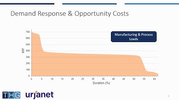 Demand Response Perspectives