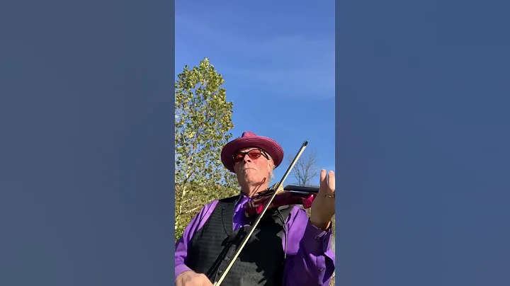 Van Morrison: Moondance | PopRock Electric Violin ...