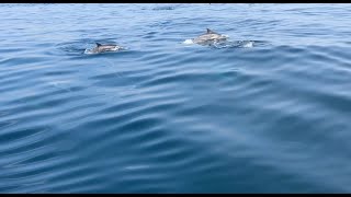El Agua Tóxica del Río Tijuana Contamina el Aire – Scripps Institution of Oceanography |