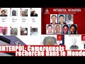 Interpol voici les camerounais les plus recherchs au monde