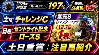 【チャレンジC・セントライト記念・ローズS 2026】注目馬紹介！秋のG1戦線を彩る有力馬が多数参戦のハイレベル戦！#チャレンジカップ #セントライト記念 #ローズs #競馬 #競馬予想