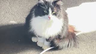 Celebrity How I want to preserve it - Molly Mckew Net Worth