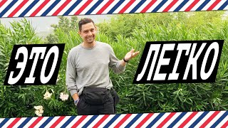 Как похудеть? Личный опыт похудения. Как я похудел. Как похудеть? Личный опыт похудения. Как я похудел.