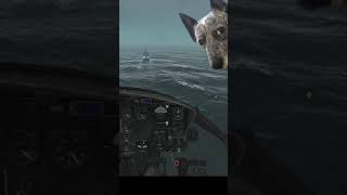 Helicopter Heroics in the Huey: DCS World (#Shorts)