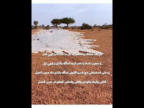 استغاثة الهزاني دع لذيذ الكرى ناقصه النهايه