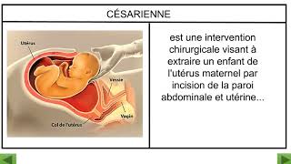 La reproduction : les étapes de l'accouchement