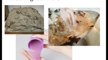 Understanding Backups