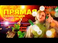 ПРЯМАЯ ТРАНСЛЯЦИЯ. 04.05.22 отвечаем на вопросы про паутинного клеща, голубику, удобрения, посадки