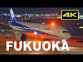 [4K] 福岡空港 夜の新展望デッキ - Plane Spotting on August 9, 2020 at Fukuoka Airport / JAL ANA / Fairport