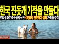 [해외감동사연] 삶을 포기한 수영강사 한국 진돗개 덕분에 새 삶을 살자 가족들 충격 ㅣ외국사연 ㅣ감동사연 ㅣ해외반응 ㅣ사연 ㅣ