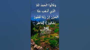 تلاوةخاشعة قرأن كريم تلاوة تفوق الوصف بصوت تخشع له القلوب #قران_كريم #قرآن #elmulquranعلم
