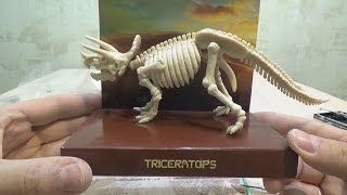 Динозавры раскопки скелет игрушки Dinosaurs skeleton excavation toys 공룡골 굴착 장난감  恐龙骨挖掘的玩具