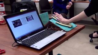 Stephanie Johns, Interactive Exhibit Design
