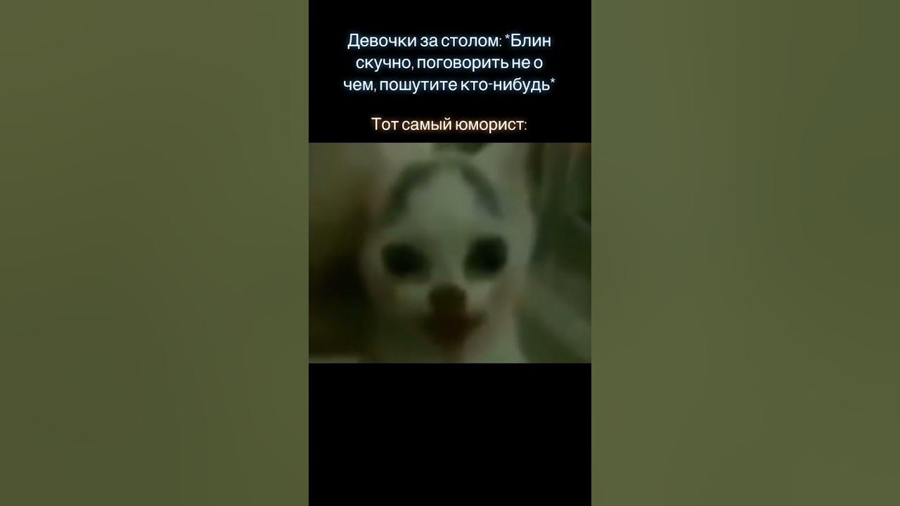 Появился значит в зоне черный сталкер.... - YouTube