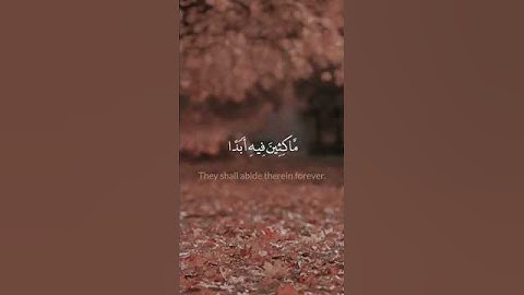 تلاوة عطرة للقارئ عبد العزيز سحيم #القرآن_الكريم #اكسبلور #تلاوة_خاشعة #trending #explore #trend