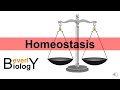 Homeostasis and Body Regulation Concepts