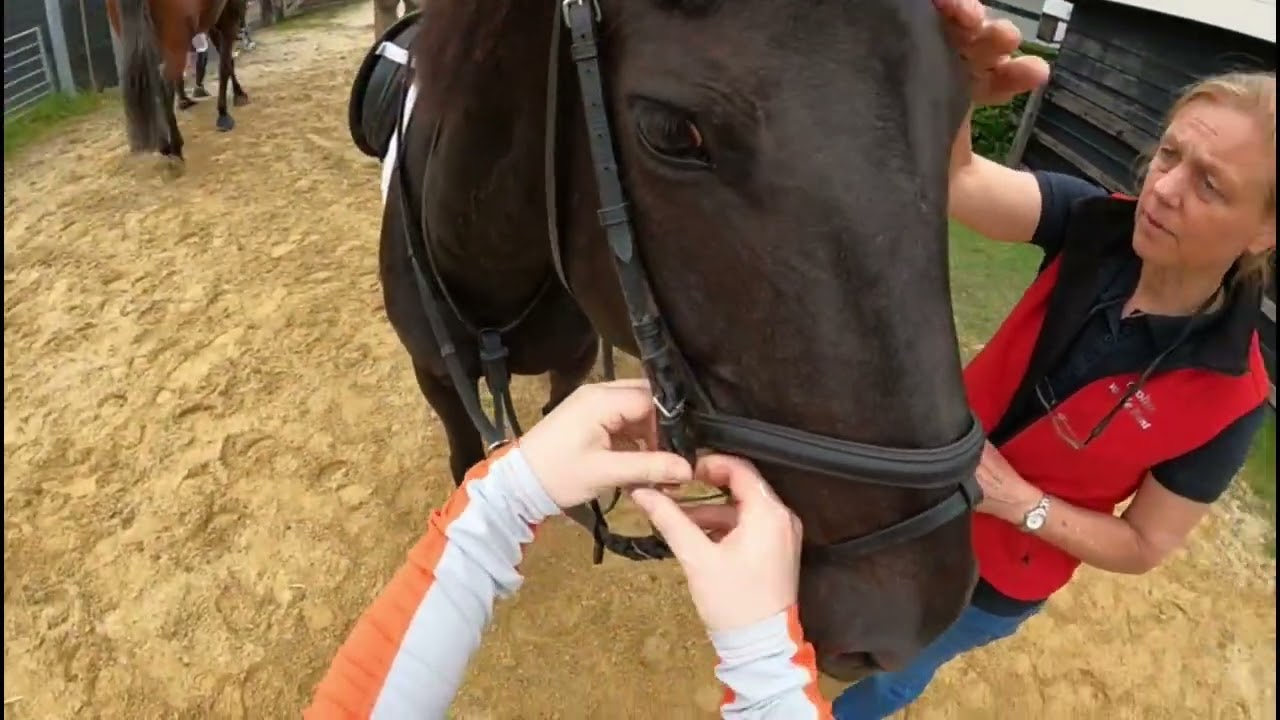 Vlog 65 ‐ Gemaakt met Clipchamp