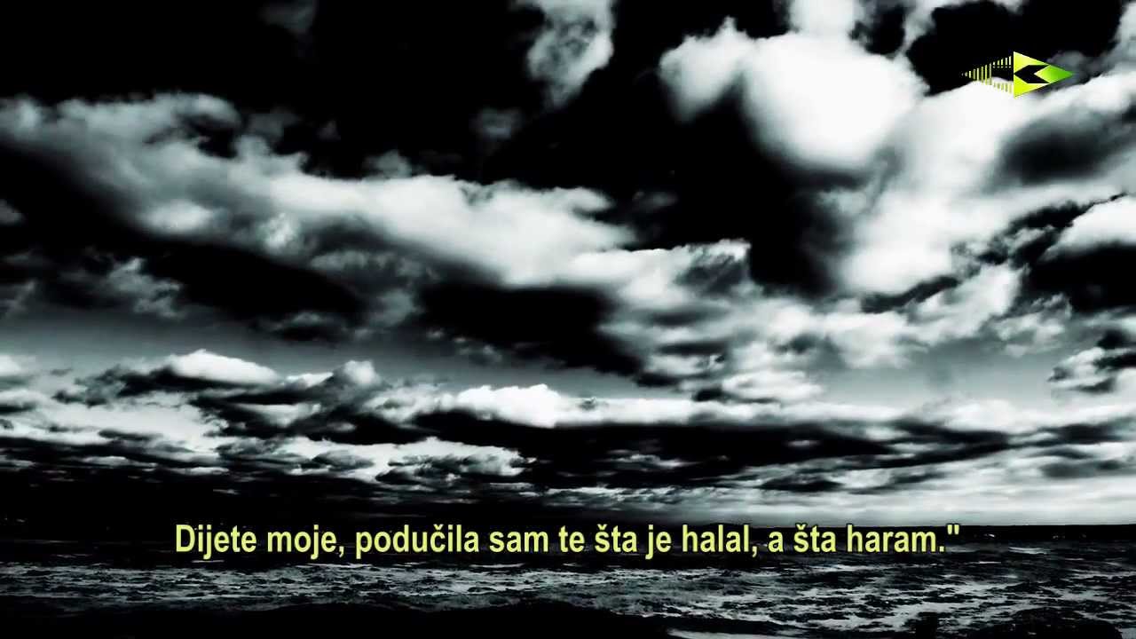 DAN KOJI TRAJE 50 000 GODINA [Dirljivo predavanje] šejh Muhammed es-Sawi