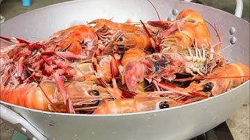 Đánh bắt Hải sản cùng ngư dân ở Cảng Lương Sơn -Nha Trang-Khánh Hoà