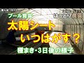 太陽シートはいつはがす？　種まき・3日後　20220412　田んぼ・2022　水稲の反射シート出芽（太陽シート）・密苗　田んぼ・2022