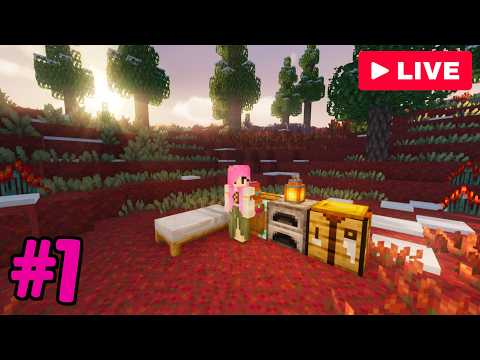 MINECRAFT FRONTEIRA - O INÍCIO