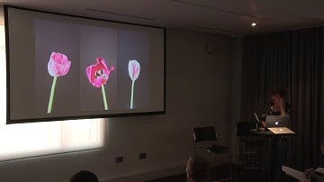 What Does The Dataset Want? Sorting Things Out - Anna Ridler