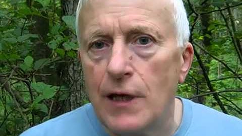 Learn the Ogham, The ancient Celtic Tree Alphabet, gateway to Otherworlds and Inspiration