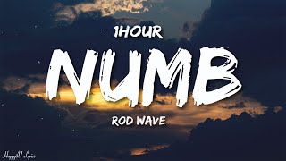 Rod Wave - Numb (Lyrics) [1HOUR]