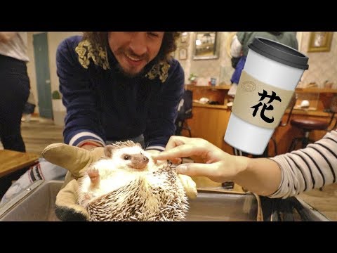 Video: Plantas y animales de Japón