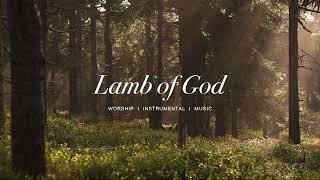 Lamb of God - Steffany Gretzinger | Instrumental Worship | Soaking Music | Deep Prayer