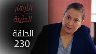 مسلسل الأزهار الحزينة | الحلقة 230 - الموسم الثاني