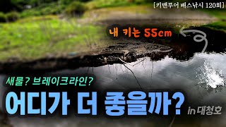 🎣 [키맨루어 배스낚시 120회] 새물유입구 vs 수심급변 지형, 더 좋은 포인트는? 대청호에서 비교 분석!