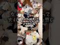【大事件】ついに汚部屋が塞がれちゃったんだけど…