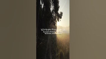 ما تيسر من سوره فصلت🌿حمزه بوديب