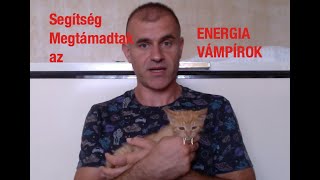 epejellegben élő paraziták féreghajto paszta adagolasa
