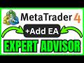 How To ADD EA To MT4 (QUICK & EASY) 2026