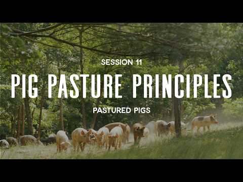 Pastured Pigs Session 11: Pastured Pigs Principles