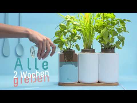 Video: Wie Sie Ihren eigenen Indoor Herb Garden wachsen - Tipps und Ideen