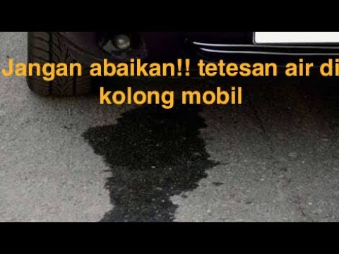 Video: Apakah air bocor di bawah kereta?