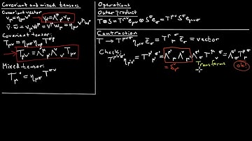 04. Tensor primer for Special Relativity: Some tensor properties