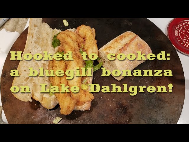 Hooked to Cooked: Bluegill Bonanza on Lake Dahlgren, Oklahoma kayak  panfishing 