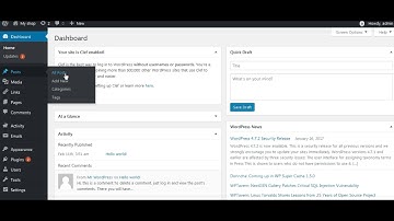 Wordpress Delete posts Tutorial
